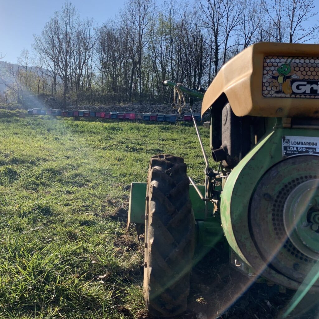 Il miele di Molinari Natura a Jenne nel Parco dei Monti Simbruini